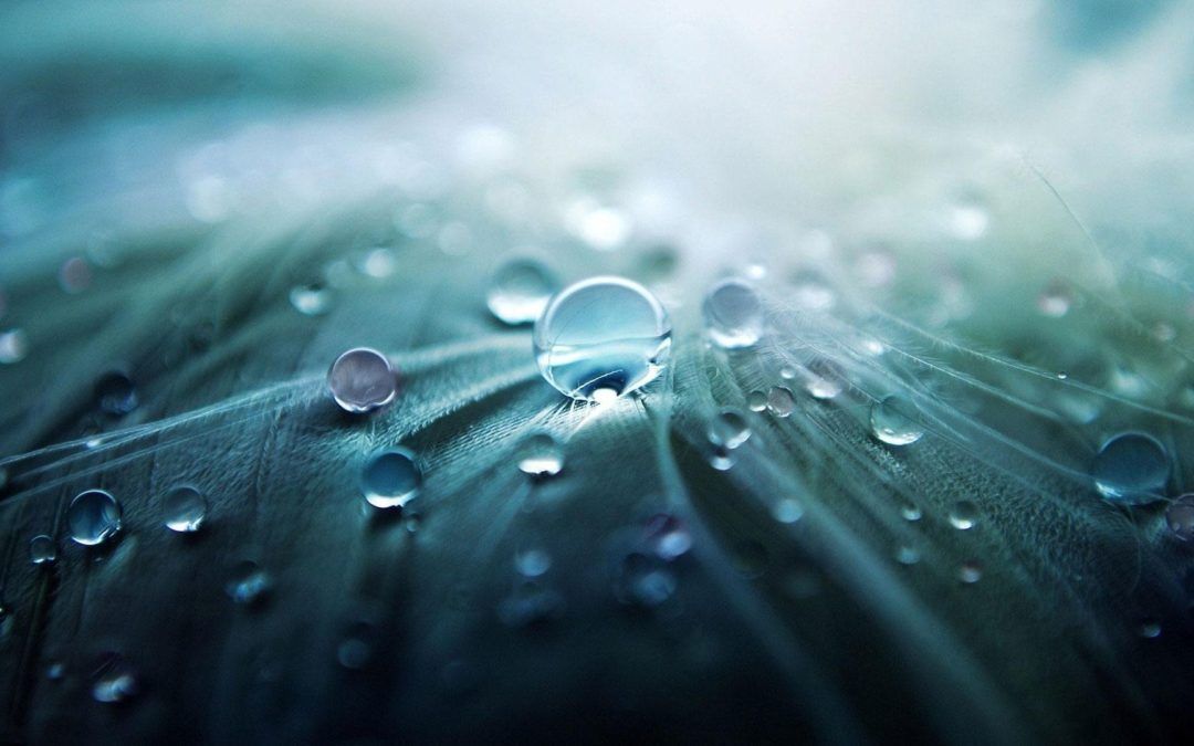 L’hypnose: un étrange état￼