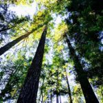 Une image contenant personne, tenant, jeune, regardant

Description générée automatiquement